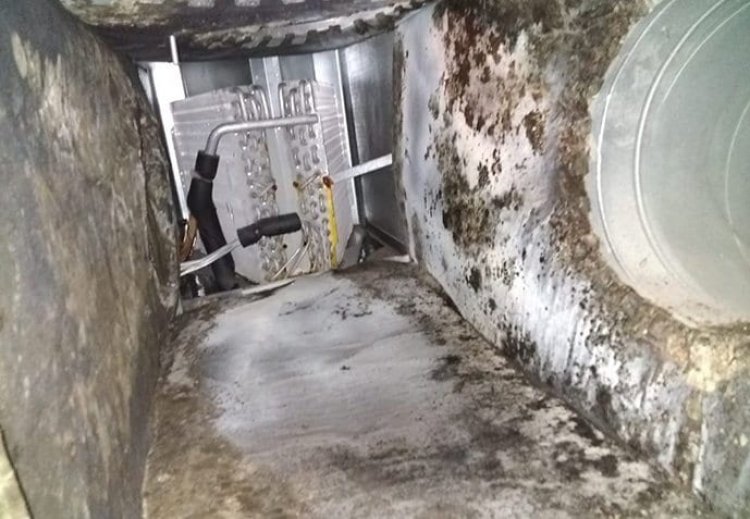 What Air Duct Cleaning Techniques Are Beneficial for Allergy Sufferers?