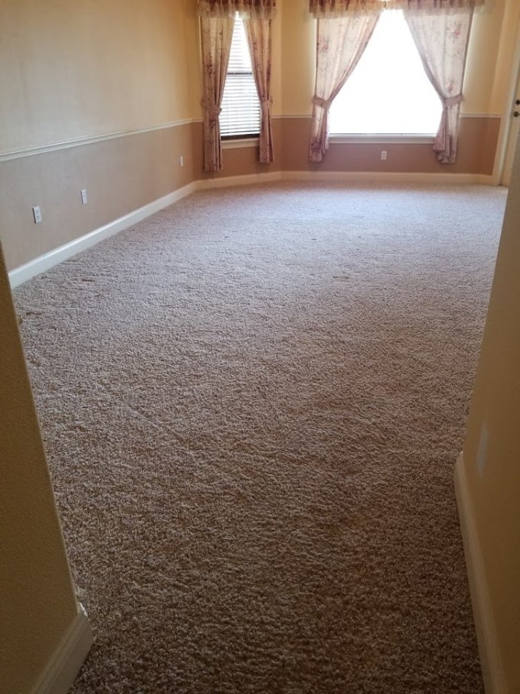 Tips For Turning Your Office Carpet Into Brand New