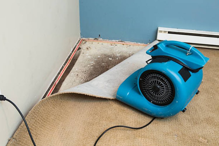 When You Must Call A Professional For Property Water Damage Restoration